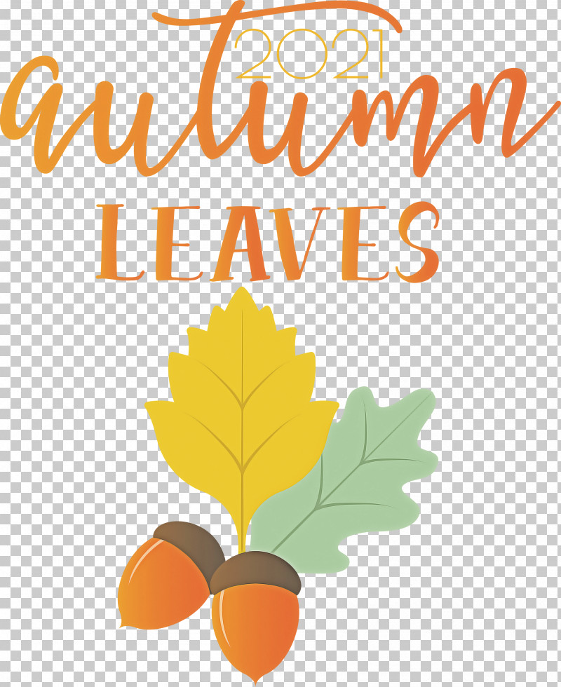 Autumn Leaves Autumn Fall PNG, Clipart, Autumn, Autumn Leaves, Biology, Fall, Fruit Free PNG Download