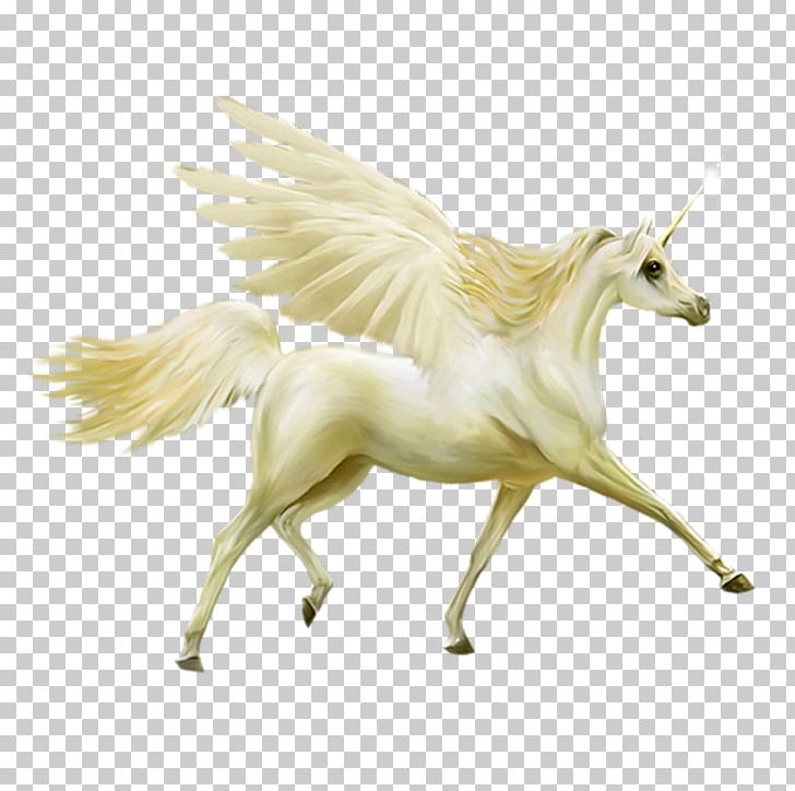 Horse Unicorn Pegasus PNG, Clipart, Animals, Bird, Cartoon, Fictional Character, Figurine Free PNG Download