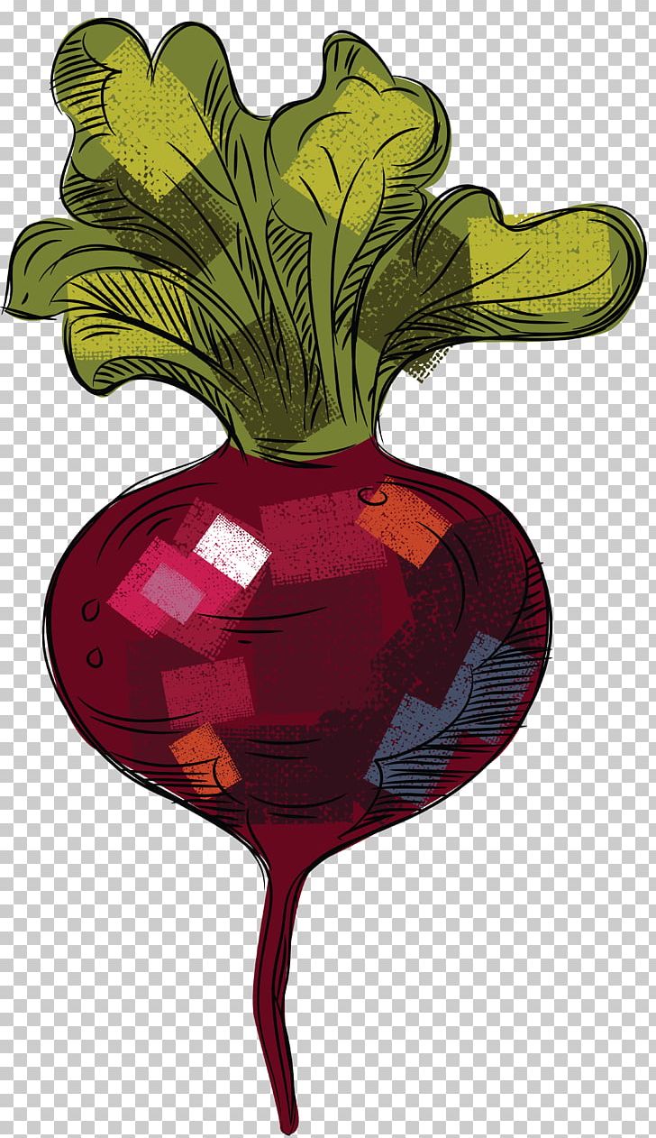 Tomato PNG, Clipart, Art, Beet, Beetroot, Carrot, Download Free PNG Download