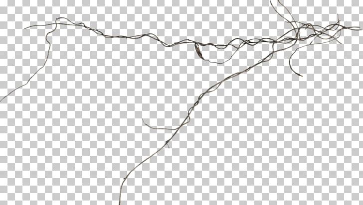 Twig Line Art Drawing Point PNG, Clipart, Angle, Area, Art, Artwork, Black And White Free PNG Download