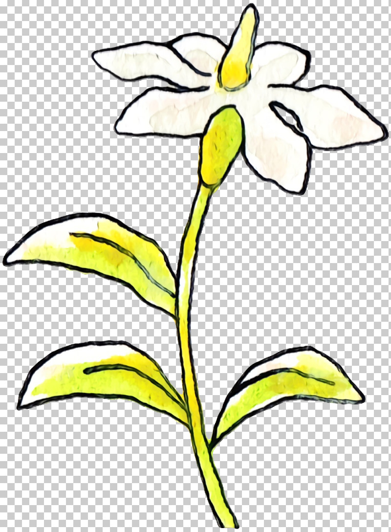 Cut Flowers Plant Stem Leaf Line Art Petal PNG, Clipart, Black White M, Cut Flowers, Flower, Leaf, Line Art Free PNG Download