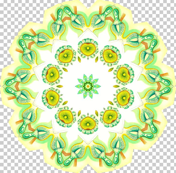Kaleidoscope PNG, Clipart, Bryozoa, Celtic, Circle, Clip Art, Computer Icons Free PNG Download