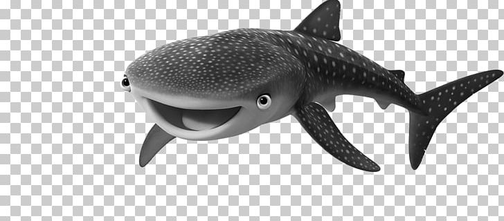 Requiem Sharks Marine Mammal Marine Biology Wildlife PNG, Clipart, Animal Figure, Animals, Biology, Cartilaginous Fish, Finding Dory Free PNG Download