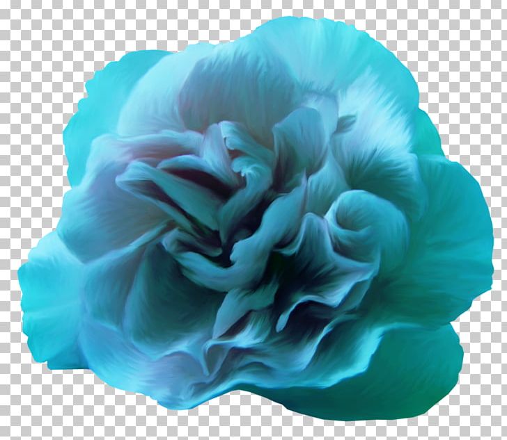 Blue Rose Blue Rose Flower Color PNG, Clipart, Aqua, Blue, Blue Rose, Cicek, Color Free PNG Download