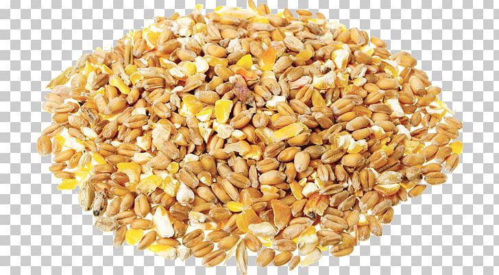 Cereal Grain Organic Food Pasta PNG, Clipart, Bean, Brown Rice, Cafe, Cereal, Cereal Germ Free PNG Download