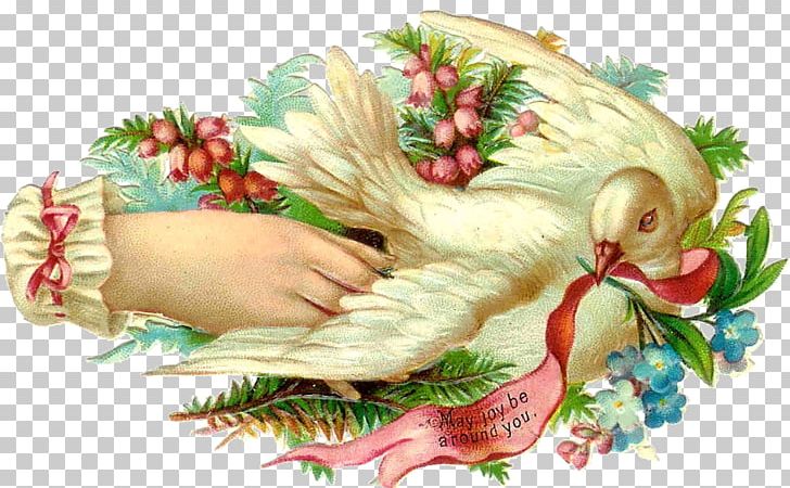 Columbidae Swallow Bokmärke Bird PNG, Clipart, Angel, Animals, Antique, Art, Bird Free PNG Download