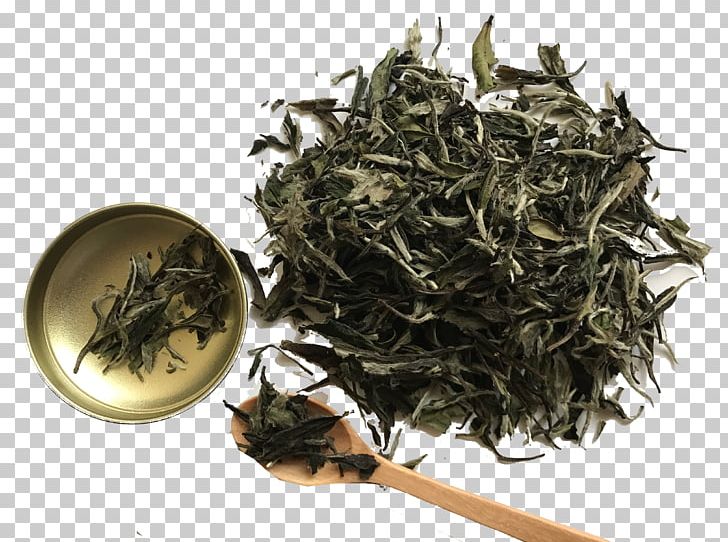 White Tea Dianhong Golden Monkey Tea Nilgiri Tea PNG, Clipart, Assam Tea, Baihao Yinzhen, Bai Mudan, Bancha, Biluochun Free PNG Download
