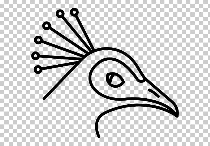 Bird Asiatic Peafowl Feather Beak PNG, Clipart, Angle, Animal, Animals, Area, Asiatic Peafowl Free PNG Download