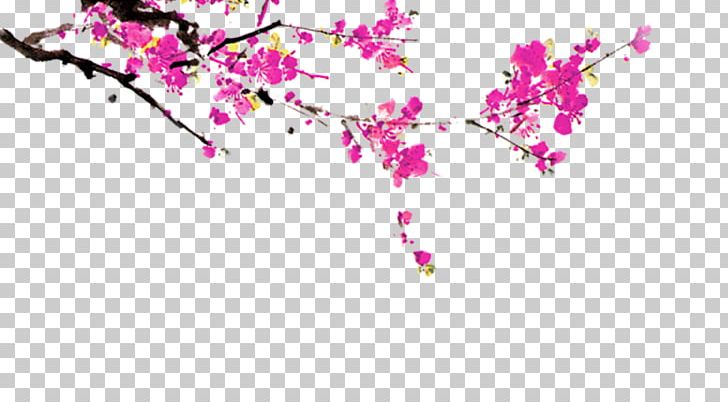 Chinese New Year PNG, Clipart, Blossom, Branch, Cherry Blossom, Computer Network, Corner Border Free PNG Download