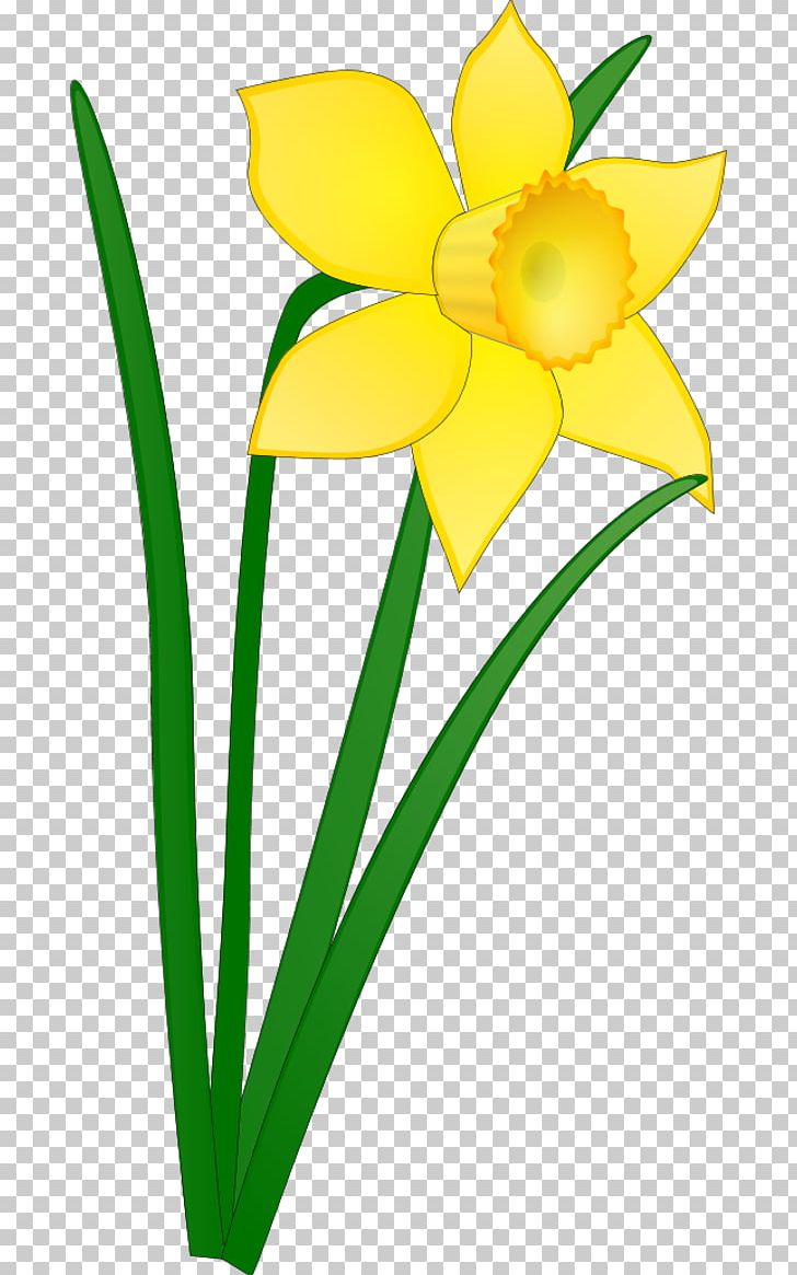 Daffodil Free Content Drawing PNG, Clipart, Amaryllis Family, Artwork, Blog, Cut Flowers, Daffodil Free PNG Download