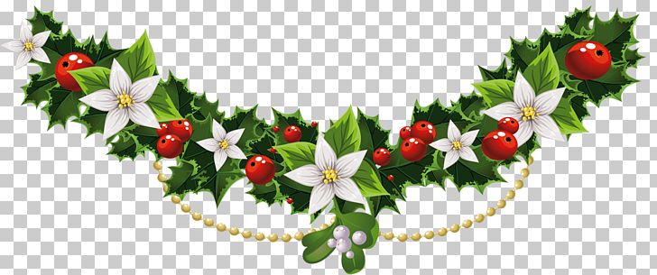 Mistletoe Christmas Common Holly PNG, Clipart, Advent, Branch, Christmas, Christmas Clipart, Christmas Common Free PNG Download