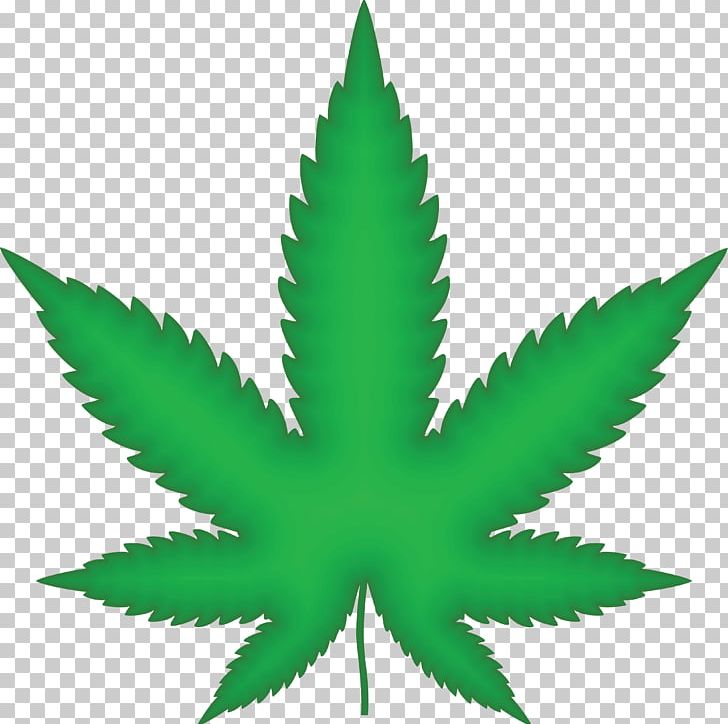 Medical Cannabis Drawing Hemp PNG, Clipart, Cannabis, Cannabis Cultivation, Cannabis Sativa, Clip Art, Drawing Free PNG Download