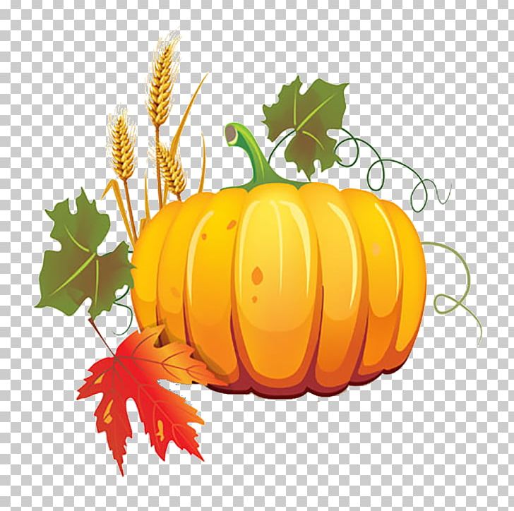 Pumpkin Autumn Harvest Fruit PNG, Clipart, Encapsulated Postscript, Food, Gourd, Graphic Arts, Halloween Pumpkin Free PNG Download