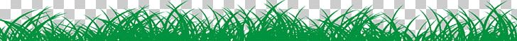 Wheatgrass Green Close-up PNG, Clipart, Artificial Grass, Cartoon Grass, Close Up, Closeup, Computer Free PNG Download