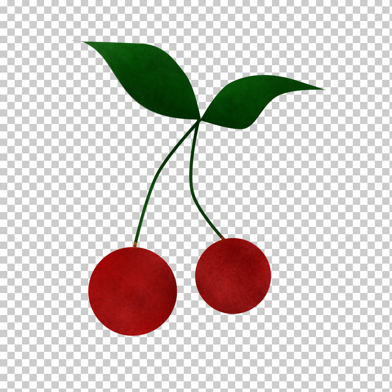 Cherry Red Leaf Plant Fruit PNG, Clipart, Cherry, Drupe, Flower, Food, Fruit Free PNG Download