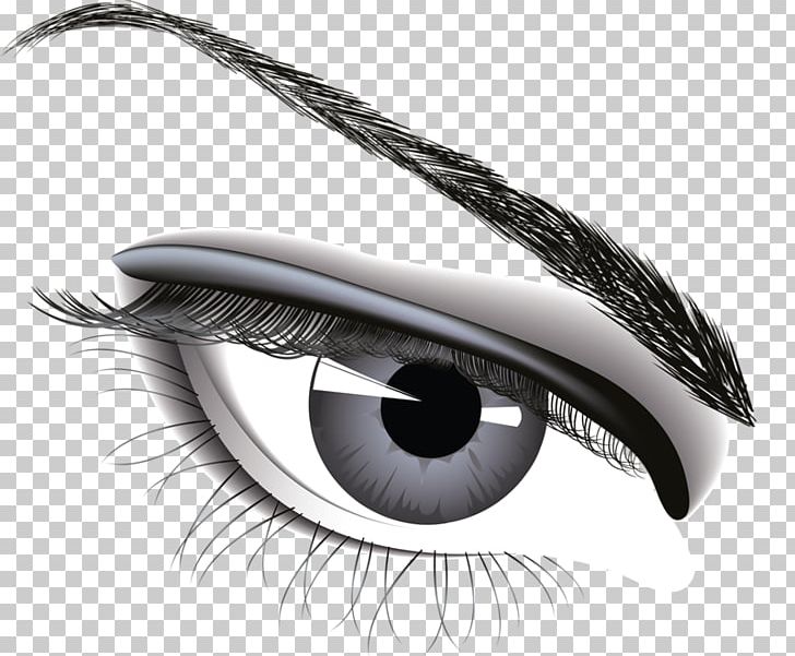 Eye PNG, Clipart, Closeup, Computer Icons, Eye, Eyebrow, Eyelash Free PNG Download