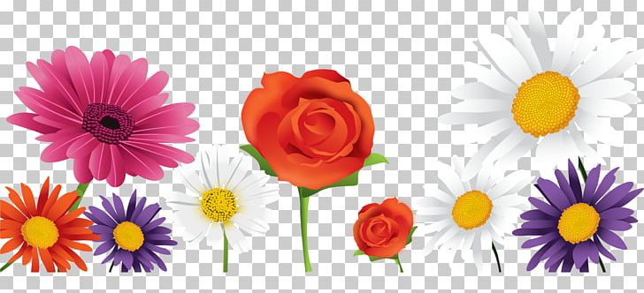 Transvaal Daisy Floral Design Cut Flowers Flower Bouquet Artificial Flower PNG, Clipart, Ballo, Boy Cartoon, Cartoon Alien, Cartoon Character, Cartoon Couple Free PNG Download