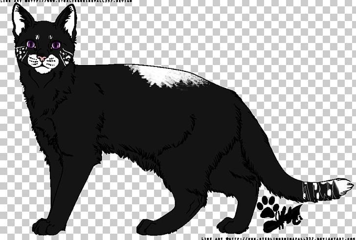 Whiskers Wildcat Cougar Canidae PNG, Clipart, Big Cat, Big Cats, Black, Black And White, Black Cat Free PNG Download