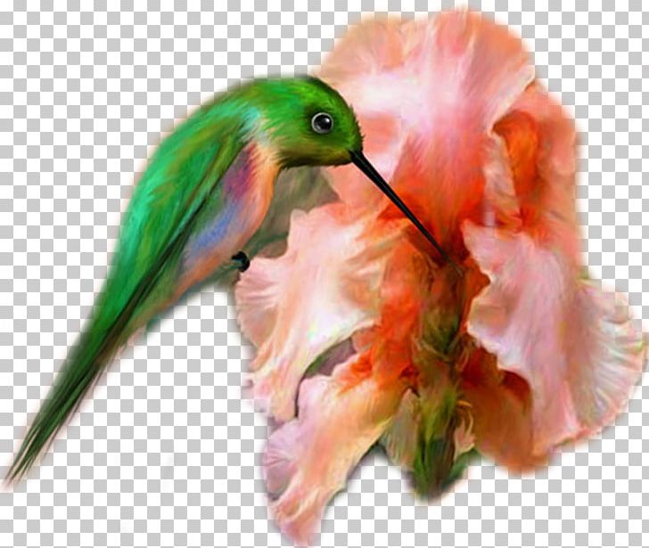 Hummingbird M Painting Beak Kocaeli Province PNG, Clipart, 2017, Advertising, Animals, Beak, Bird Free PNG Download