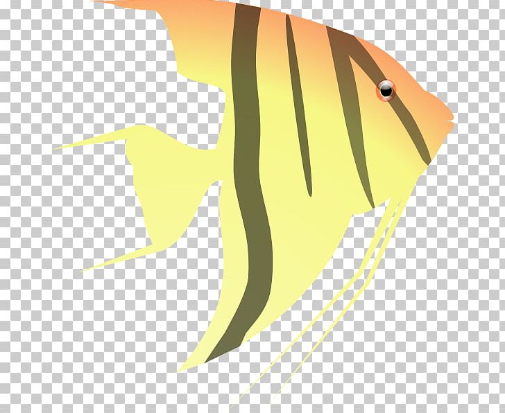 Pterophyllum Altum Fish PNG, Clipart, Angelfish, Aquarium, Art, Beak, Bird Free PNG Download