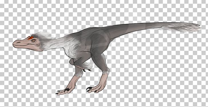 Velociraptor Pyroraptor Daspletosaurus Troodon Tyrannosaurus PNG, Clipart, Albertosaurus, Animal Figure, Art, Austroraptor, Daspletosaurus Free PNG Download