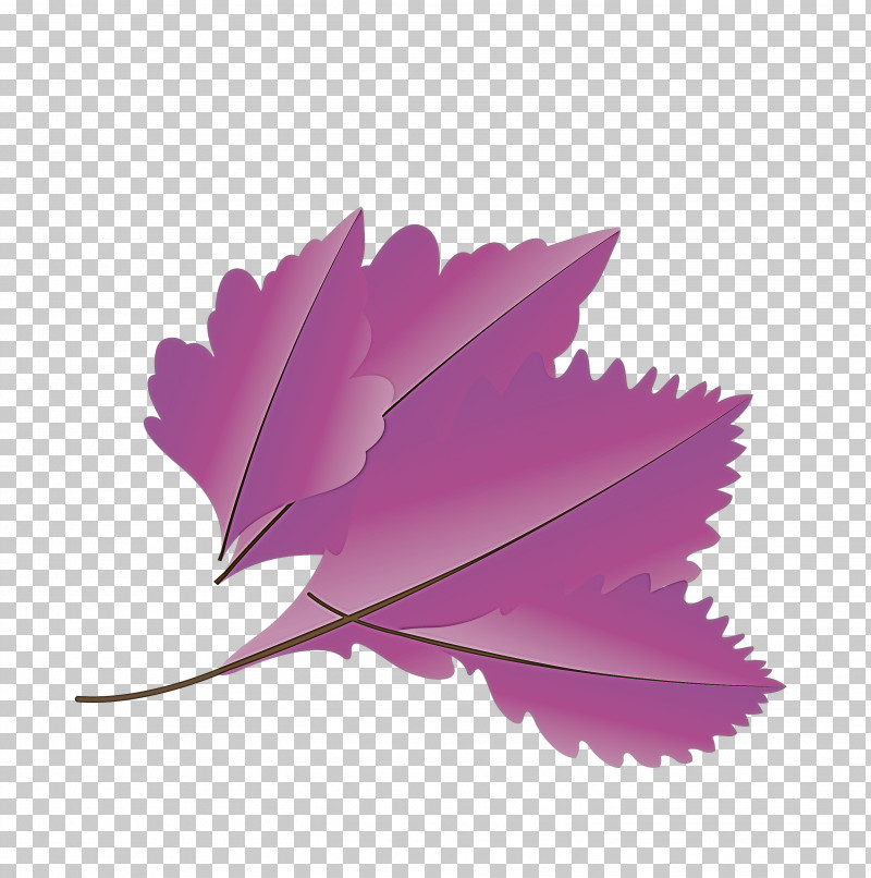 Maple Leaf PNG, Clipart, Autumn Leaf, Autumn Leaf Color, Cartoon Leaf, Fall Leaf, Flower Free PNG Download