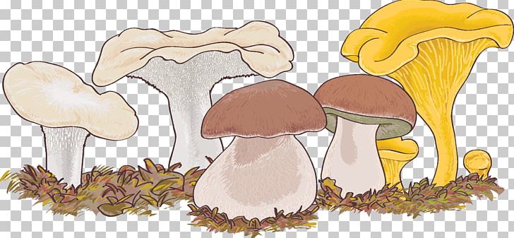 Lingzhi Mushroom Disease Pharmaceutical Drug PNG, Clipart, Com, Disease, Ganoderma, Human Body, Lingzhi Mushroom Free PNG Download