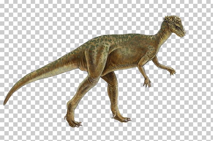 Pachycephalosaurus Homalocephale Genasauria Marginocephalia Dinosaur PNG, Clipart, Ancient, Animal, Cartoon Dinosaur, Cerapoda, Dinosaur Egg Free PNG Download