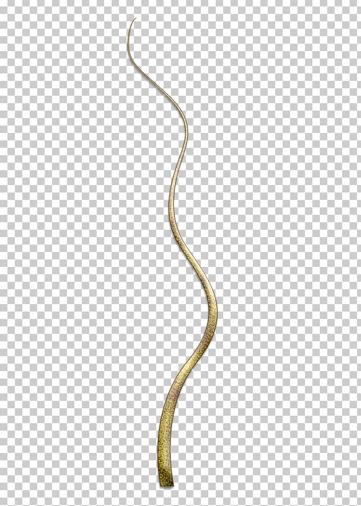 Reptile Body Jewellery PNG, Clipart, Body Jewellery, Body Jewelry, Branch, Creative, Jewellery Free PNG Download