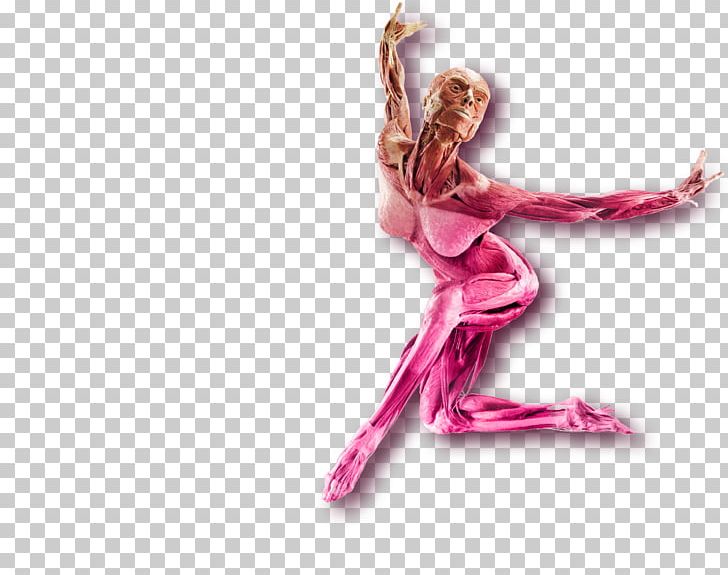 Pink M Performing Arts PNG, Clipart, Jobs, Others, Performing Arts, Pink, Pink M Free PNG Download