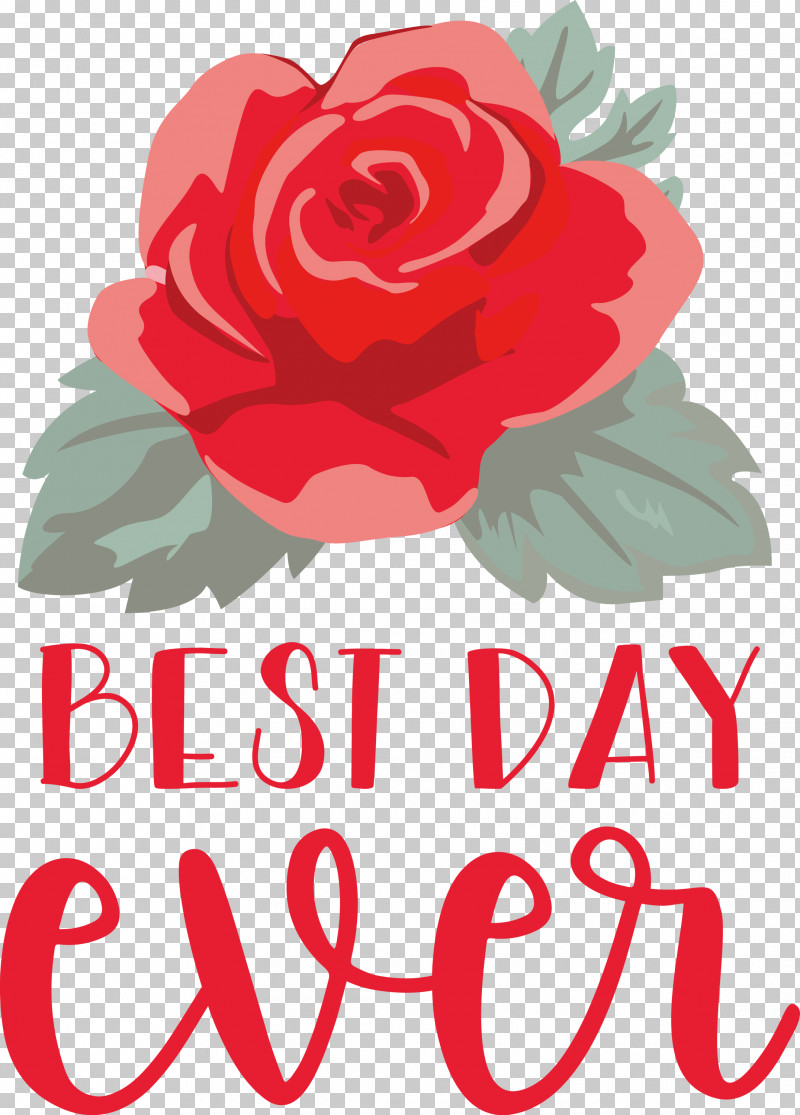 Best Day Ever Wedding PNG, Clipart, Best Day Ever, Cut Flowers, Dry Cleaning, Floral Design, Flower Free PNG Download