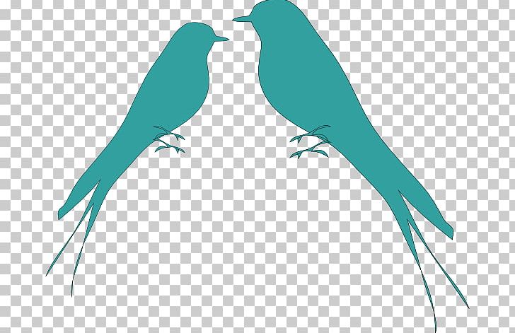 Lovebird Parrot Silhouette PNG, Clipart, Beak, Bird, Branch, Common Pet Parakeet, Fauna Free PNG Download