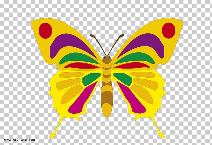 Monarch Butterfly Drawing PNG, Clipart, Arthropod, Brush Footed Butterfly, Butterflies And Moths, Butterfly, Coloring Book Free PNG Download