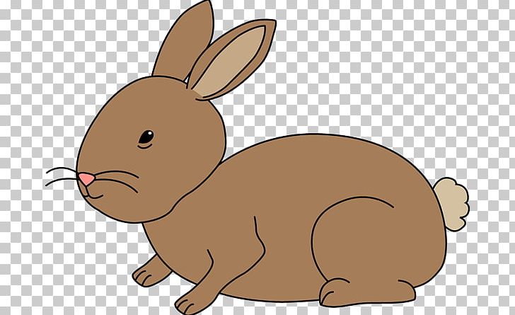 Netherland Dwarf Rabbit PNG, Clipart, Art, Blog, Cartoon, Color, Domestic Rabbit Free PNG Download