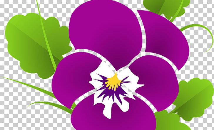 Pansy Sweet Violet Lilac PNG, Clipart, Annual Plant, Flora, Flower, Flowering Plant, Garden Free PNG Download