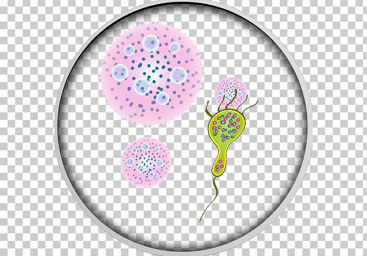 Product Design Organism PNG, Clipart, Art, Bacteria, Circle, Donate, Organism Free PNG Download