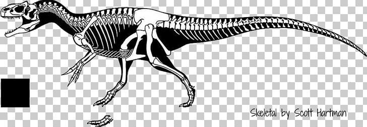 Torvosaurus Saurophaganax Allosaurus Herrerasaurus Tyrannosaurus PNG, Clipart, Allosaurus, Black And White, Carnivore, Coe, Fauna Free PNG Download