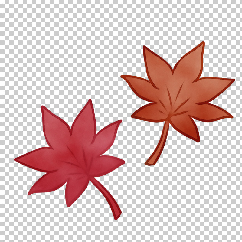 Maple Leaf PNG, Clipart, Autumn Cartoon, Biology, Leaf, Maple, Maple Leaf Free PNG Download