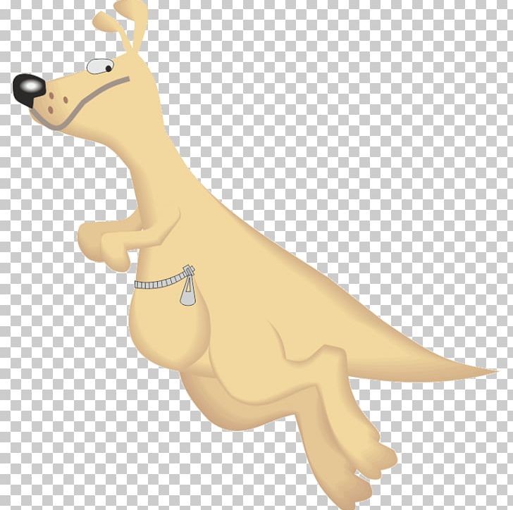 Dingo Kangaroo Animation PNG, Clipart, Animal, Animal Figure, Animals, Animation, Boxing Kangaroo Free PNG Download