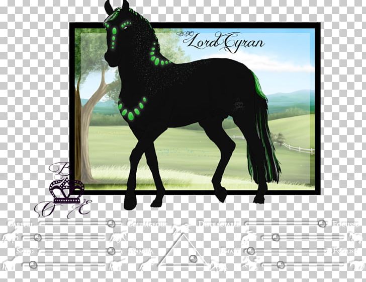 Stallion Mustang Foal Mare Colt PNG, Clipart,  Free PNG Download