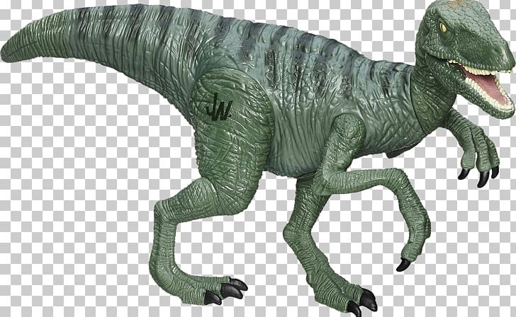Velociraptor Lego Jurassic World Jurassic Park Gallimimus Compsognathus PNG, Clipart, Action Toy Figures, Animal Figure, Compsognathus, Dimorphodon, Dinosaur Free PNG Download