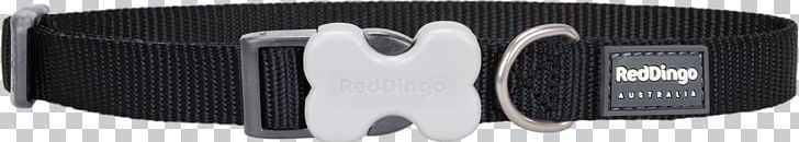 Dog Collar Dingo Dog Collar Leash PNG, Clipart, Animals, Automotive Exterior, Brand, Collar, Dingo Free PNG Download