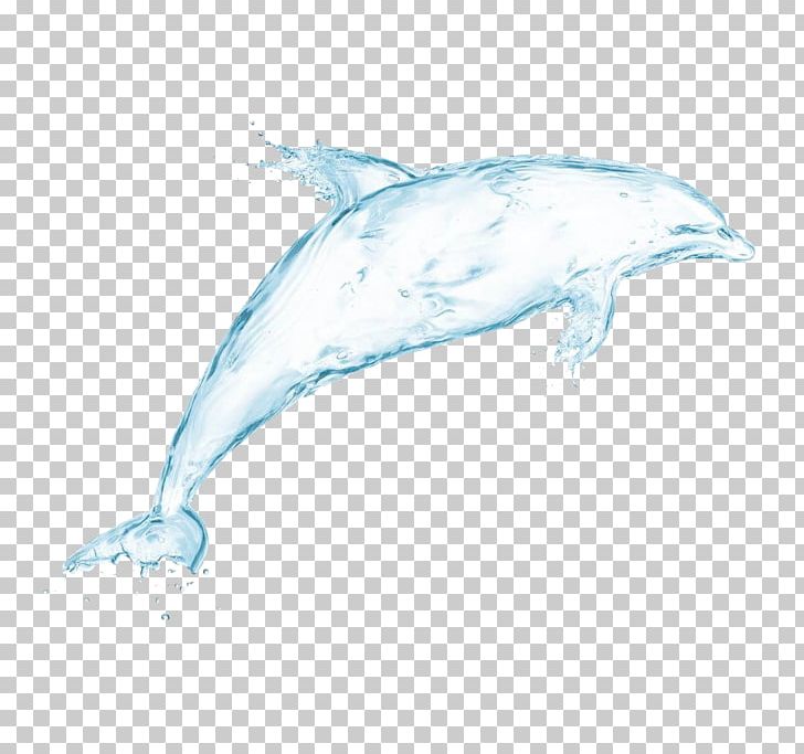 Dolphin Drawing Drop PNG, Clipart, 4k Resolution, Animals, Art, Background White, Black White Free PNG Download