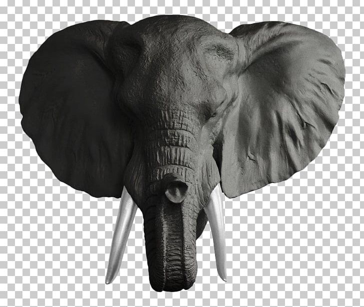 Indian Elephant African Elephant Elephantidae Deer Wall PNG, Clipart, Animals, Antler, Art, Black And White, Ceramic Free PNG Download