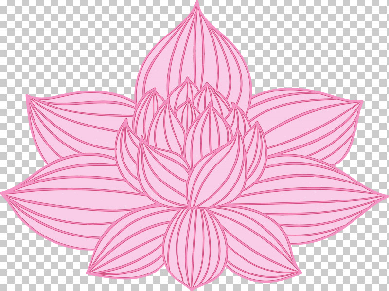 Lotus PNG, Clipart, Aquatic Plant, Bodhi Lotus, Drawing, Flower, Herbaceous Plant Free PNG Download