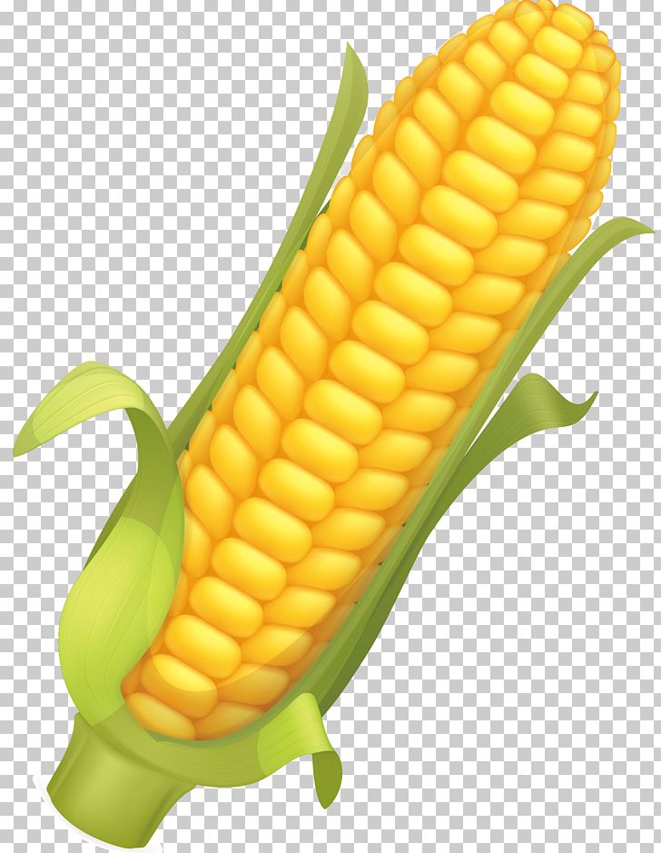 Corn Flakes Maize Corncob Illustration PNG, Clipart, Cartoon, Cereal, Commodity, Corn, Crop Free PNG Download