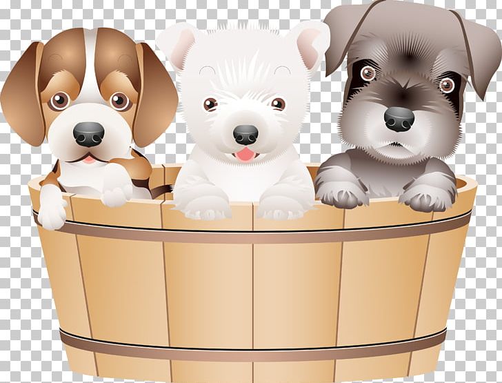 Puppy Coton De Tulear Pug Chihuahua PNG, Clipart, Animals, Breed, Carnivoran, Chihuahua, Companion Dog Free PNG Download