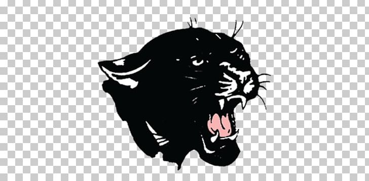Carolina Panthers New England Patriots Sport PNG, Clipart, American Football, Big Cats, Black, Black Panther, Carnivoran Free PNG Download