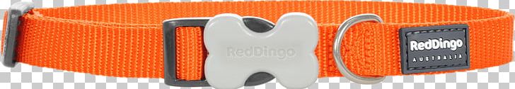 Dog Dingo Cat Collar Leash PNG, Clipart, Animals, Audio, Audio Equipment, Brand, Cat Free PNG Download