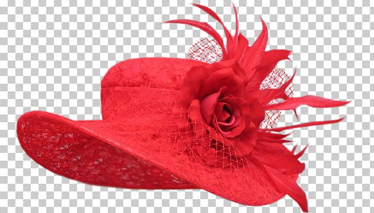 Hat Woman Fashion Diary PNG, Clipart, Blog, Clothing, Creation, Cut Flowers, Deco Free PNG Download